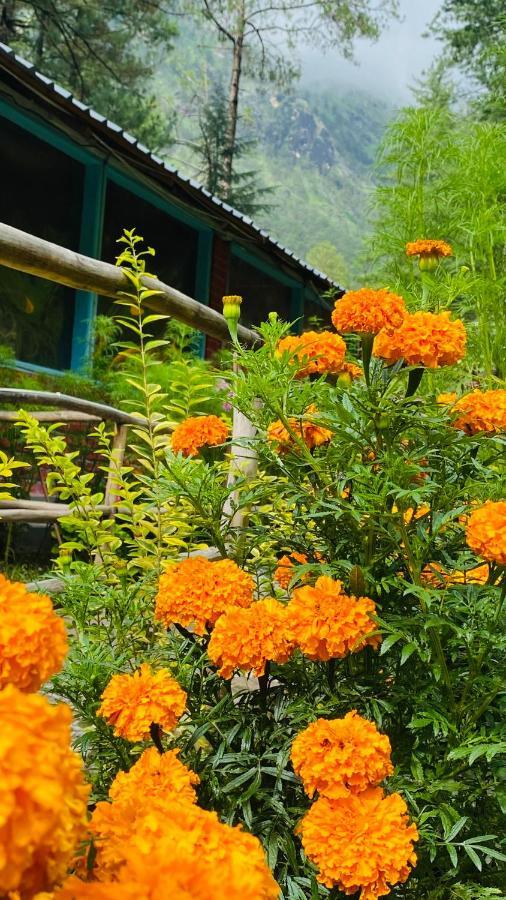 Himtrek Riverside Camps, Касол Екстериор снимка